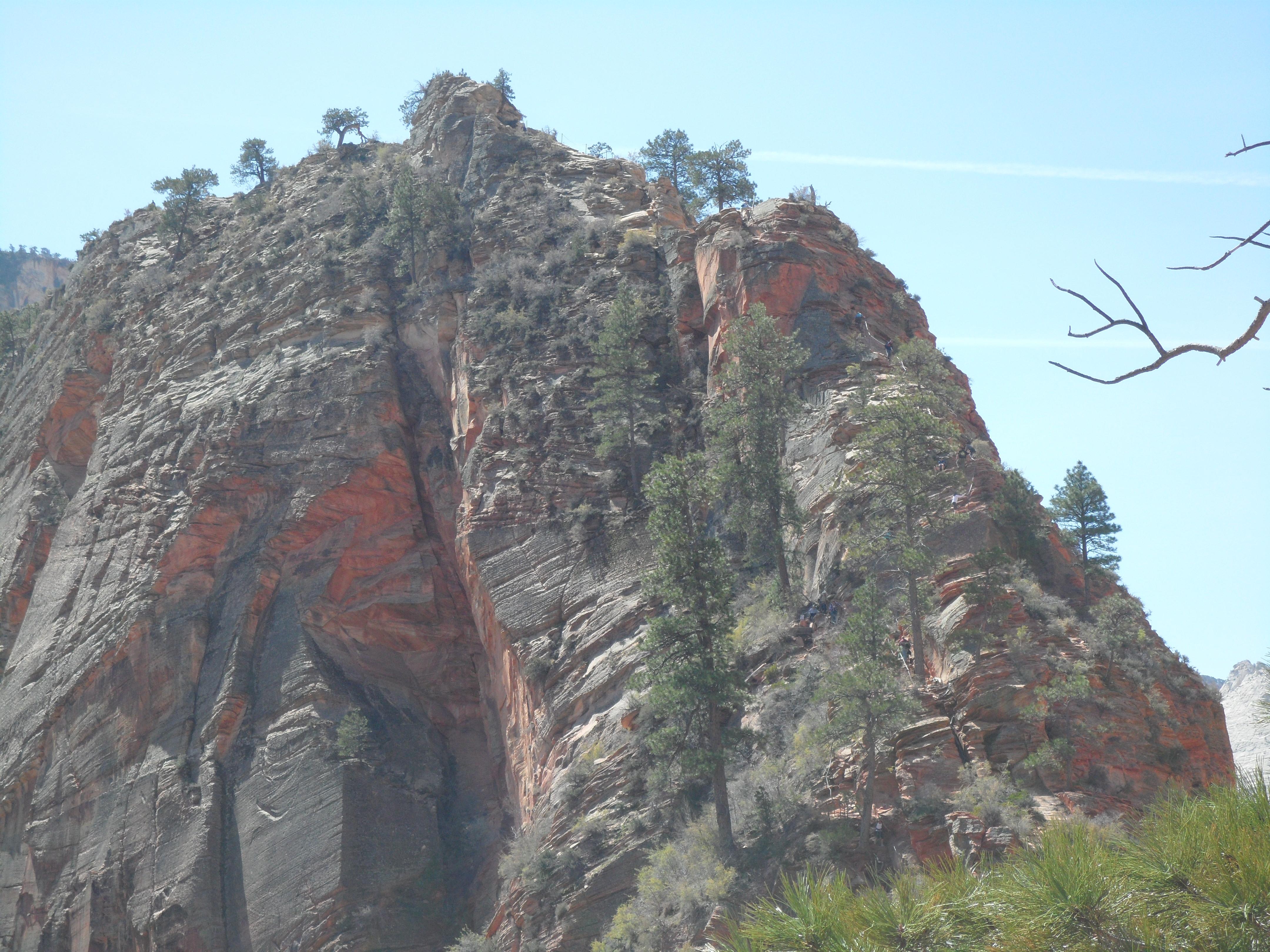 close up of the Angels Landing trail